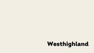 Color swatch of Westhighland