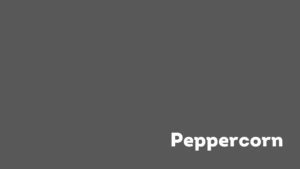 Color swatch of Sherwin Williams Peppercorn