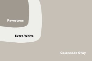 Photo of multiple color swatches featureing colonnade gray