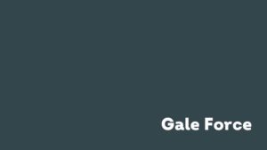 Color Swatch of Sherwin Williams Gale Force