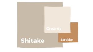 image of color scheme featuring shitake