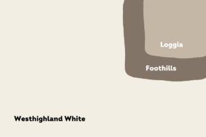 Photo of multiple color swatches featuring westhighland white