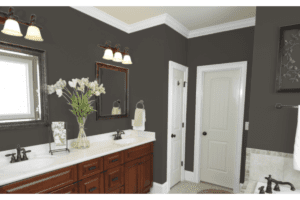 sherwin williams color visualizer of a bathroom with urbane bronze walls